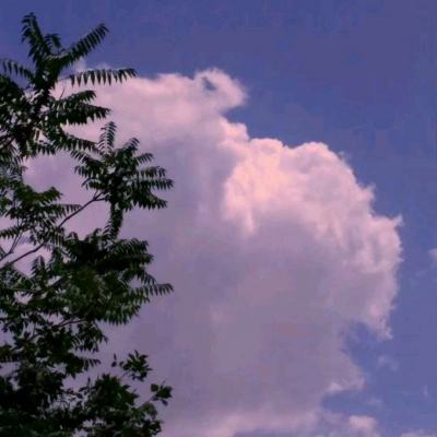 暗黑西游记手游